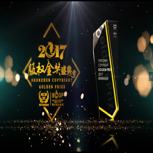优秀版权经理人奖