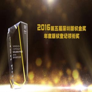 年度版权登记领衔奖