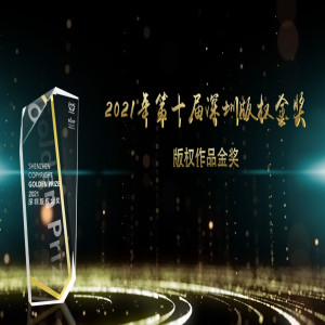 作品金奖获奖者视频